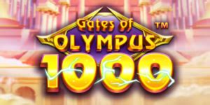 Official online casino Olymp Casino.